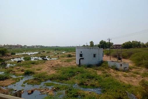Agricultural, Wadhawan to Surendranagar Road, Gujarat ( Bhogawo River)