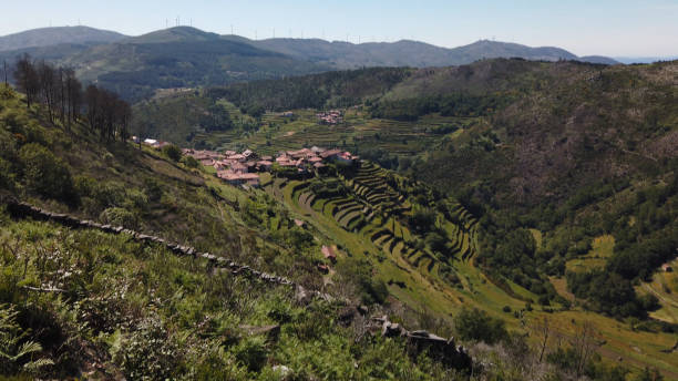 istock Viewpoit of Sistelo's terraces 2130517670