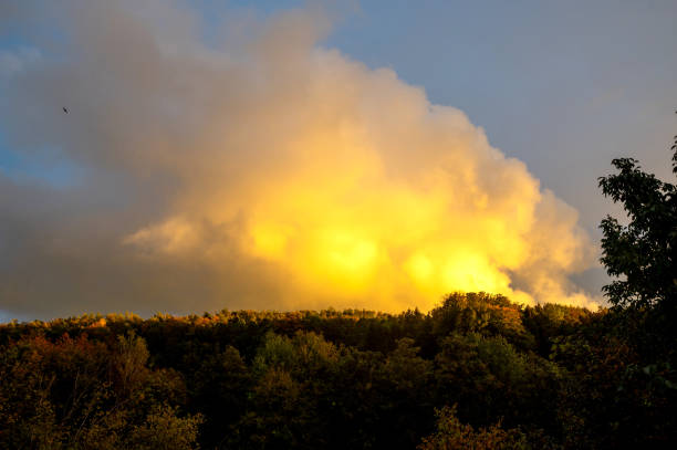 Big yellow cloud in the sky in the evening sun over a green forest