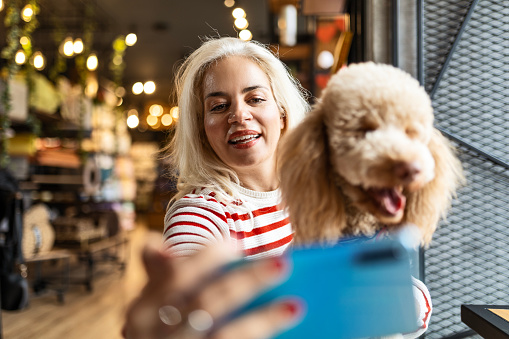 Young woman with poodle in pet shop cafe making selfie