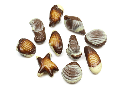 Set of seashell seahorse and starfish shaped chocolate pralines isolated on white background