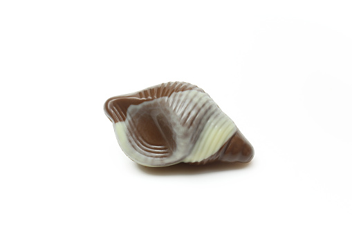 Chocolate praline shaped like seashell isolated on white background