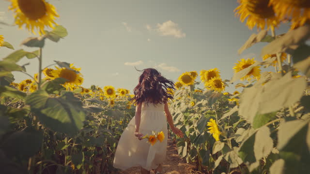 Free asian woman running on yellow sunflower field. Happy young woman jogging through field of a blooming sunflower during summer day. Freedom leisure concept. Slow motion