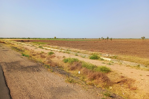 Agricultural, Limbdi to Dhandhuka Road, Gujarat