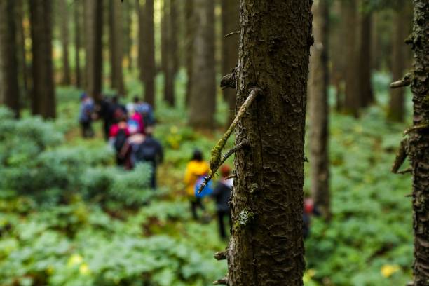 istock Group of hikers walking in the forest trekking 2130652684