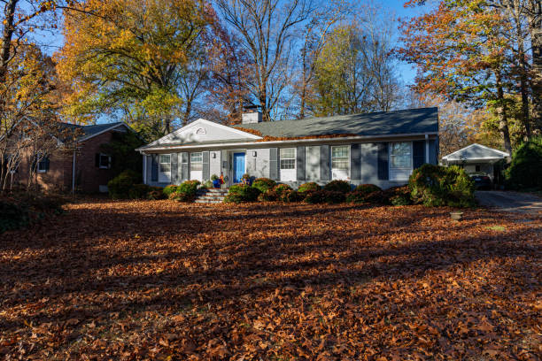 istock House and yard completely covered in fall leaves, leaf litter clean up, yard maintenance copy space 2130658311
