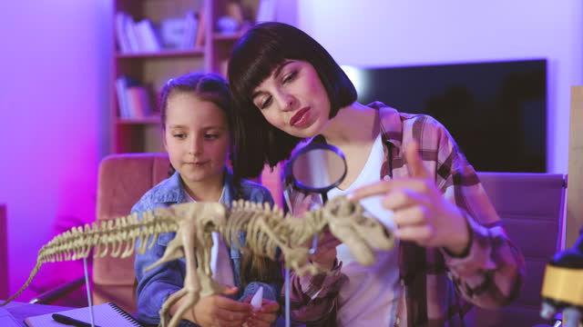 Two women make model of tyrannosaurus with bones at night at home.