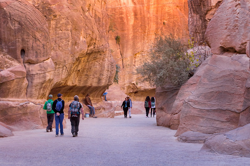Petra, Jordan - November 3, 2022: People tourists walking along Siq walls to the Treasury, Al Khazneh, one of the new Seven Wonders of the World