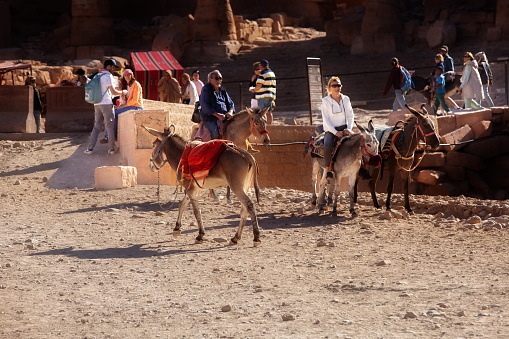 Petra, Jordan - November 3, 2022: Donkeys and people on the road in famous ancient city