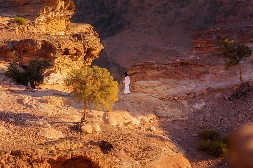 Petra, Jordan - November 3, 2022: Bedouin man walking in sandstone canyon, rocks formations landscape