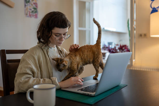 istock Loving pet owner sitting at table, working on laptop while cat diverts attention from work, study 2130698171