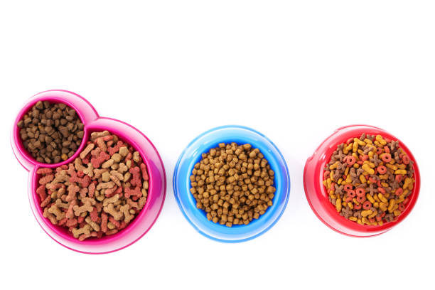 istock Dry pet food in bowls isolated on white background 2130706062
