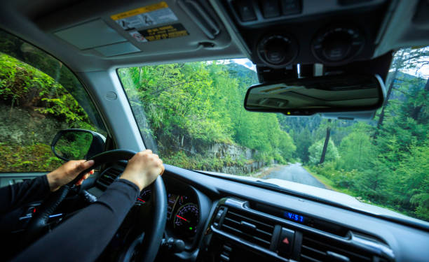 istock Driving car in the forest mountain trail, China 2130714358
