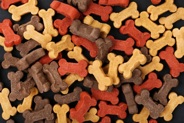 istock Dry pet food on black background 2130715973
