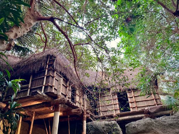 istock wooden house on stilts 2130721761
