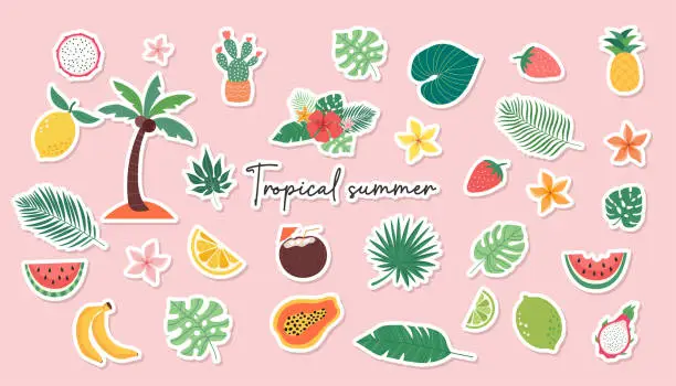 Vector illustration of hello summer backgrounds sticker