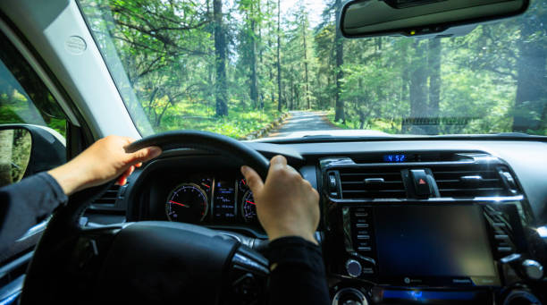 istock Driving car in the forest mountain trail, China 2130742126