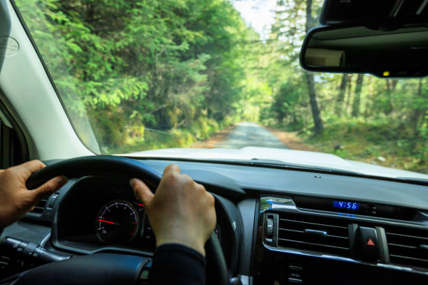 istock Driving car in the forest mountain trail, China 2130749941