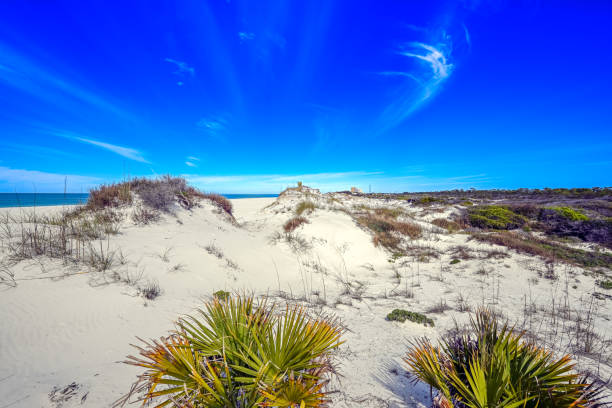 istock now-white sand dunes create a mesmerizing landscape at St. Andrews State Park 2130763539