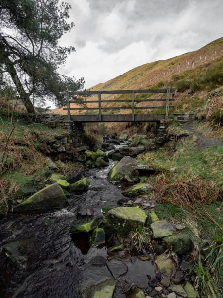 istock Mountain river in England, dreamy scenery, moss-covered stones and beautiful waterfall in the forest. Sunny creek in spring cloudy Yorkshire evening. small cascade surrounded by moss and autumn leaves 2130778642