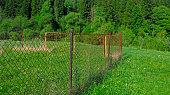 Chain-link fence in the meadow