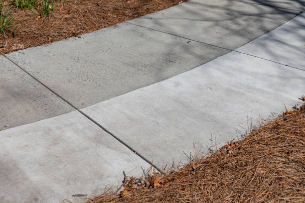istock Sweeping concrete walkway with new section added flanked with pine straw, creative copy space, old and new 2130826013