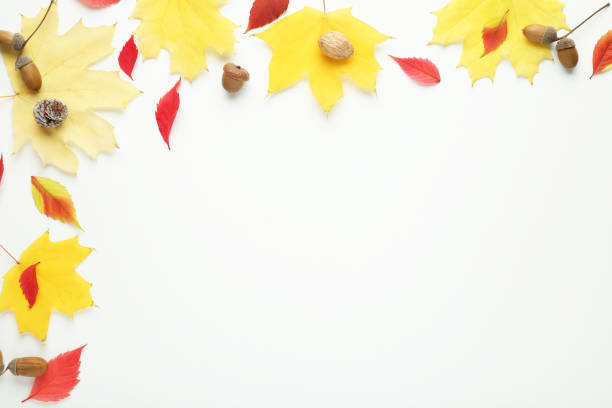istock Autumn leafs with acorns on white background 2130851622