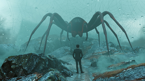 A man stands in a misty, rocky terrain, facing an enormous spider. The spider looms large over the landscape. Behind the spider is a large, intricate web that stretches across the background, catching droplets of moisture in its threads. The overall atmosphere is eerie and suggests concepts of confrontation, overcoming fear, facing the unknown or adversity.