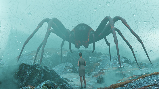 A woman stands in a misty, rocky terrain, facing an enormous spider. The spider looms large over the landscape. Behind the spider is a large, intricate web that stretches across the background, catching droplets of moisture in its threads. The overall atmosphere is eerie and suggests concepts of confrontation, overcoming fear, facing the unknown or adversity.