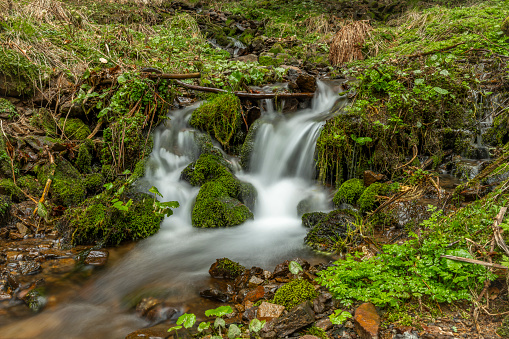 Intimate scene involving a boulder and its gently flowing stream of water.