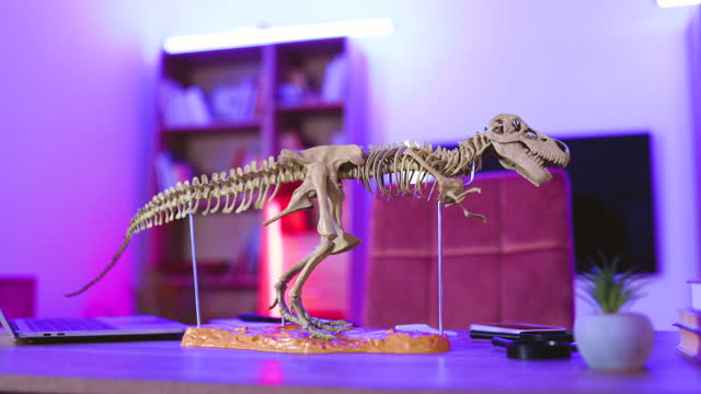 Nature education concept - assortment of supplies, skeleton of dinosaur.