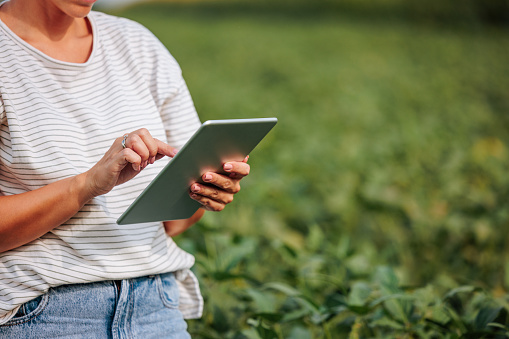In the middle of a vegetable field, a female Caucasian farmer checks her plants on her tablet