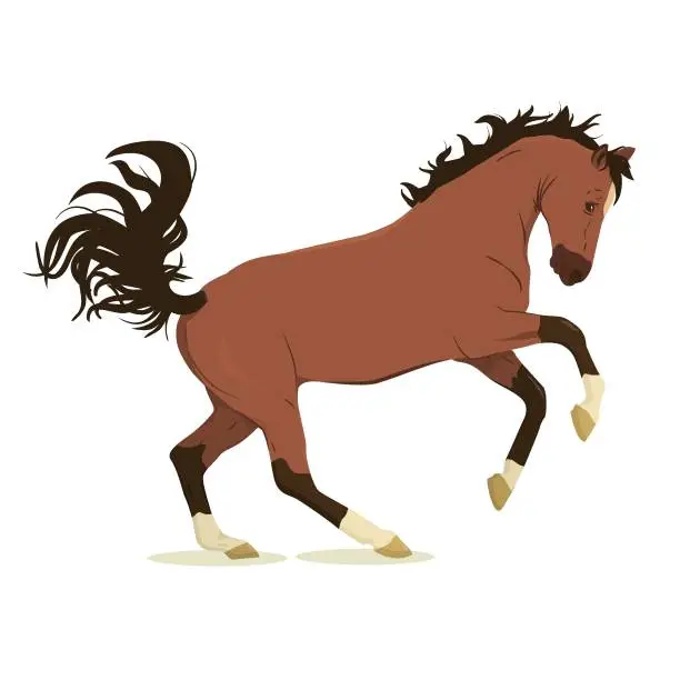 Vector illustration of vector illustration of a jumping horse. Isolated on a white background. The theme of equestrian sports, training and animal husbandry