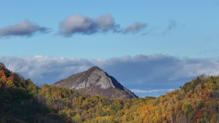 Majestic Mountain View With Trees and Clouds