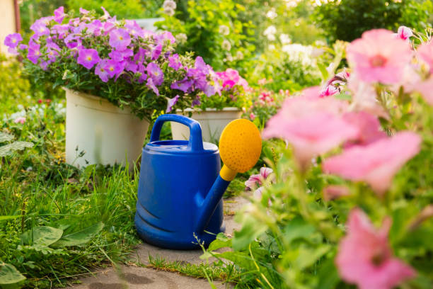 Farm worker gardening tools. Blue plastic watering can for irrigation plants placed in garden with flowers on flowerbed and flowerpot on sunny summer day. Gardening hobby agriculture concept