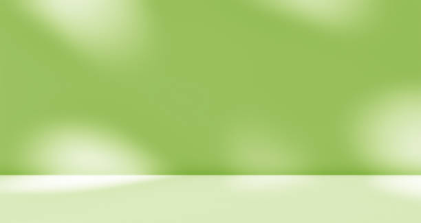 istock Empty green room studio with sunlight effect shadow of leaves. 2131016939