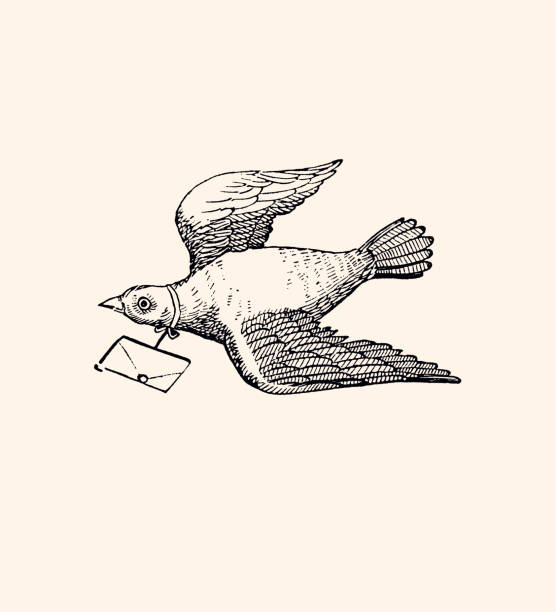 illustrazioni stock, clip art, cartoni animati e icone di tendenza di san valentino : simbolo del piccione con una lettera d'amore (xxxl) - i-love-you-frase-inglese