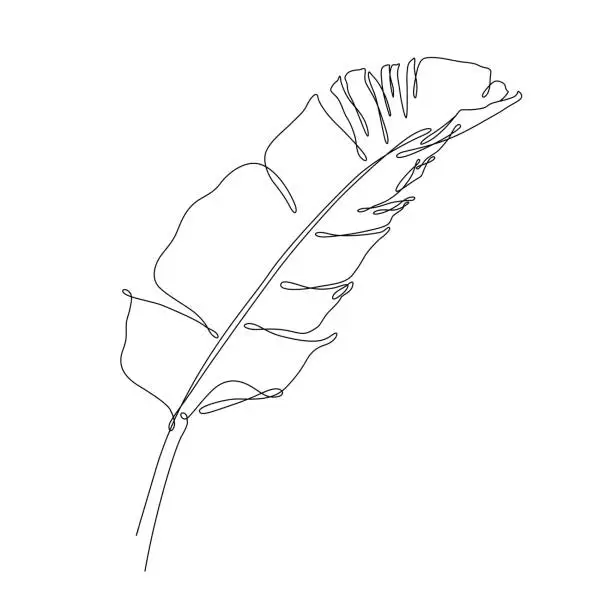 Vector illustration of Bird of Paradise Banana Leaf Continuous Line Drawing
