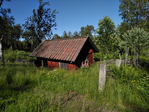 Hut, formerly used for animal care in Tiveden natural reserve. Grass growing over abandonned building. Forest and blue sky.