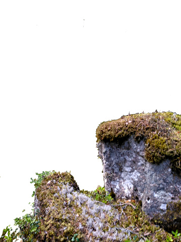 Rock covered in moss and lichens in Tiveden natural reserve, white background.