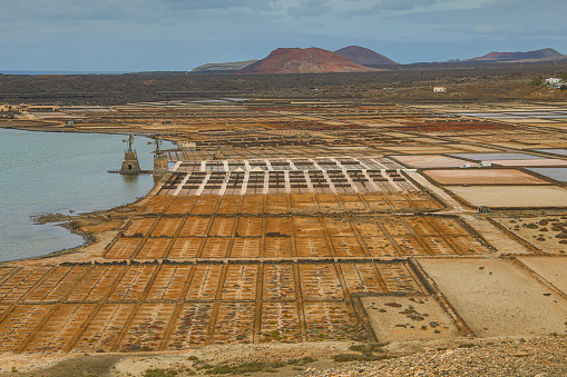 Salt flats for the capturing and production of salt from seawater - extensive mineral production