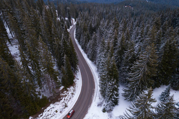 istock Road in the woods 2131133624