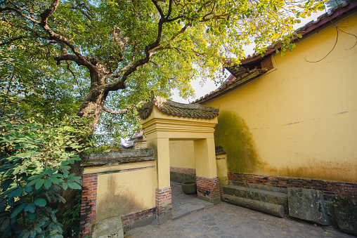 In ancient Chinese temples, there are buildings and trees.