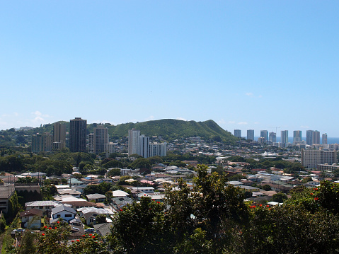 Punchbowl Crater, Nuuanu, and Honolulu Cityscape looking to the ocean from high up in the hills with cranes and modern skycrapers mixed with houses, and other small buildings.