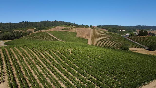 4k Aerial Drone Footage over Vineyard Hills and Winery in Napa Valley California