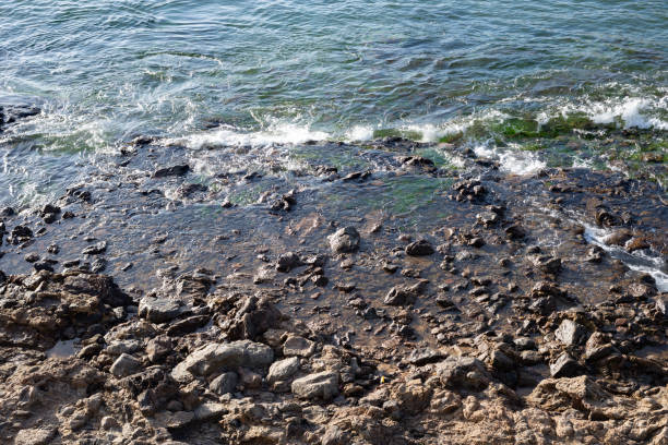 Dark sea rocks. Strong sunny day. Preserved nature.