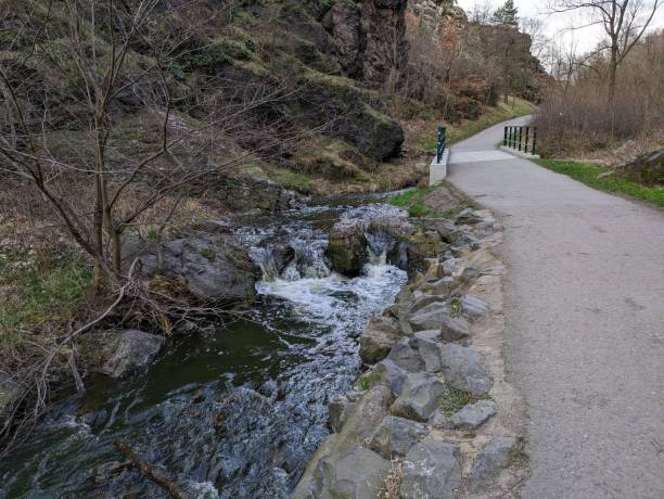 istock Street beside the waterfalls inside the forest 2131386148