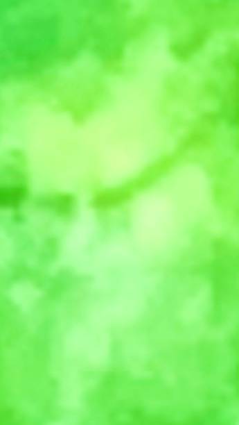 istock Blurred green and white color from leaf. Light colors with soft and fresh for green environment 2131400210