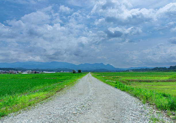 istock Summer sky in the countryside 2131424324