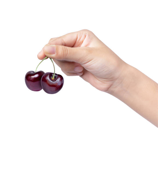 hand holding red cherry - czereśnia zdjęcia i obrazy z banku zdjęć